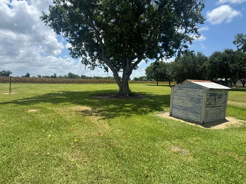 1331 County Road 313 Louise, TX 77455