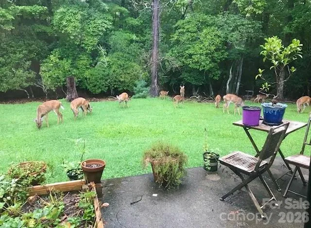 84 Greenwood Acres Drive Mills River, NC 28759