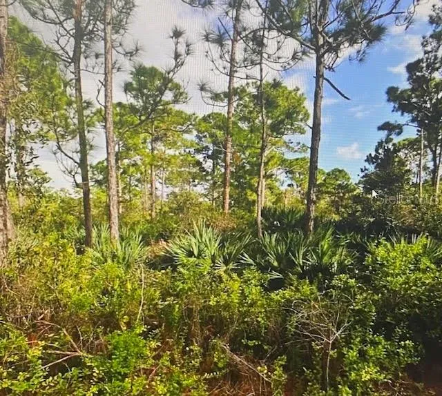 5550 TREE TOP TRAIL Fort Pierce, FL 34951