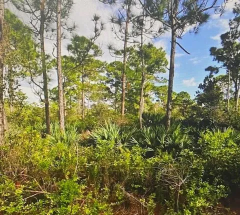 5550 TREE TOP TRAIL