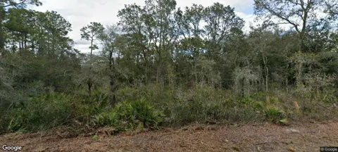 35023 PRIMROSE LANE