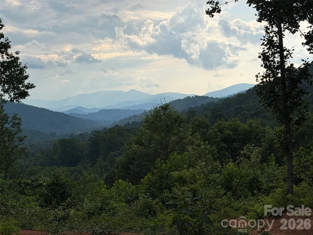99999 Tipton Lane Bakersville, NC 28705