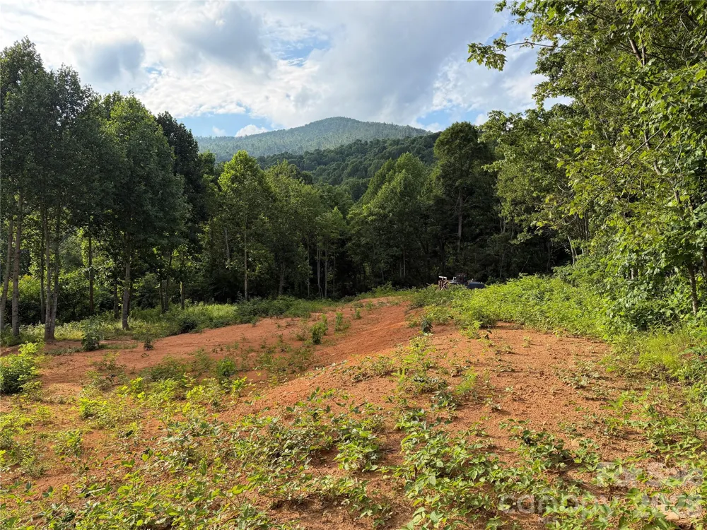 99999 Tipton Lane Bakersville, NC 28705