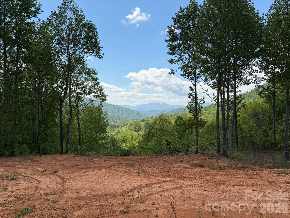 99999 Tipton Lane Bakersville, NC 28705