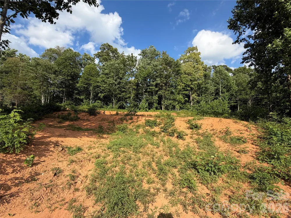 99999 Tipton Lane Bakersville, NC 28705