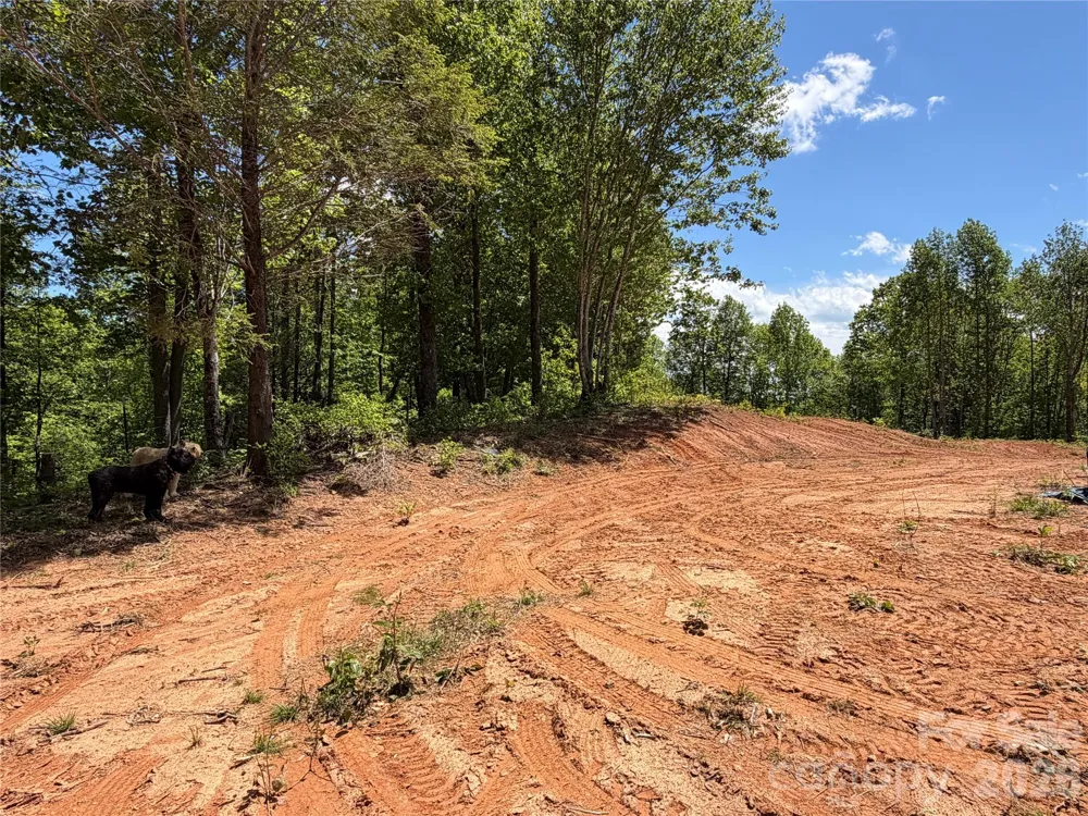 99999 Tipton Lane Bakersville, NC 28705