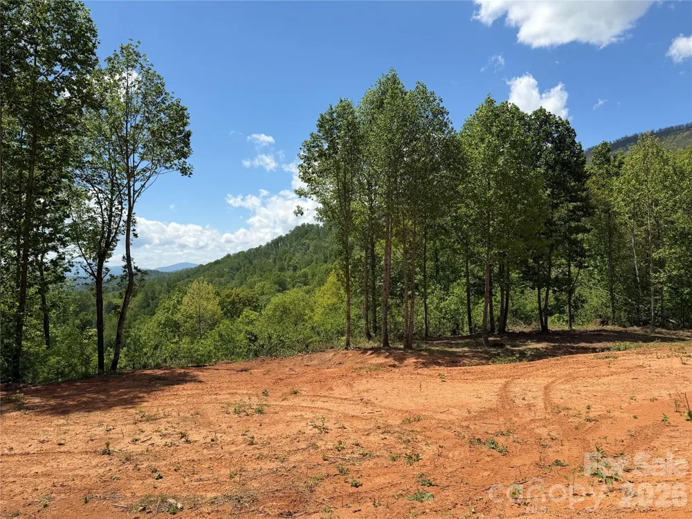 99999 Tipton Lane Bakersville, NC 28705