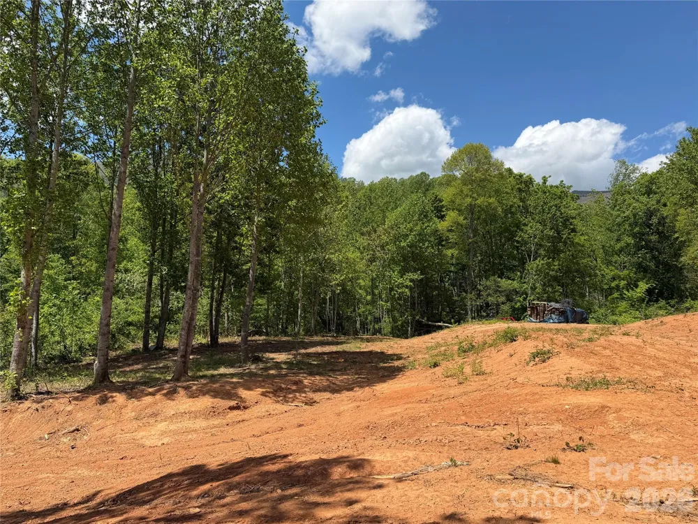 99999 Tipton Lane Bakersville, NC 28705