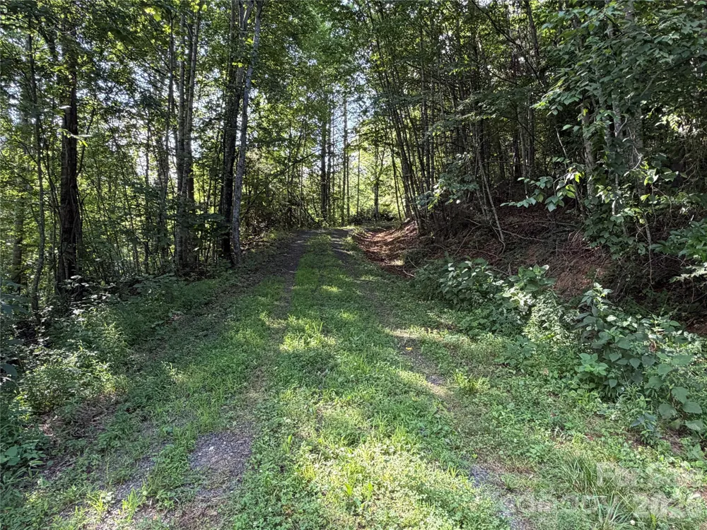 99999 Tipton Lane Bakersville, NC 28705
