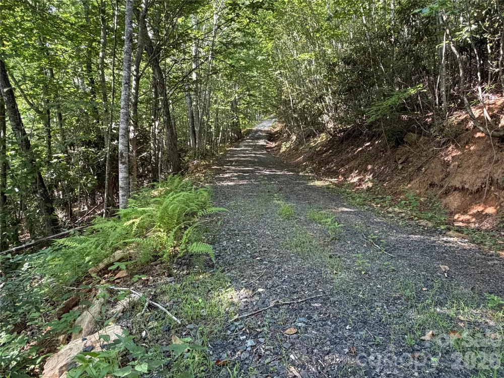 99999 Tipton Lane Bakersville, NC 28705