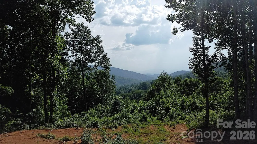 99999 Tipton Lane Bakersville, NC 28705