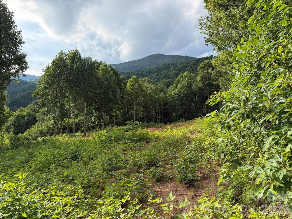 99999 Tipton Lane Bakersville, NC 28705