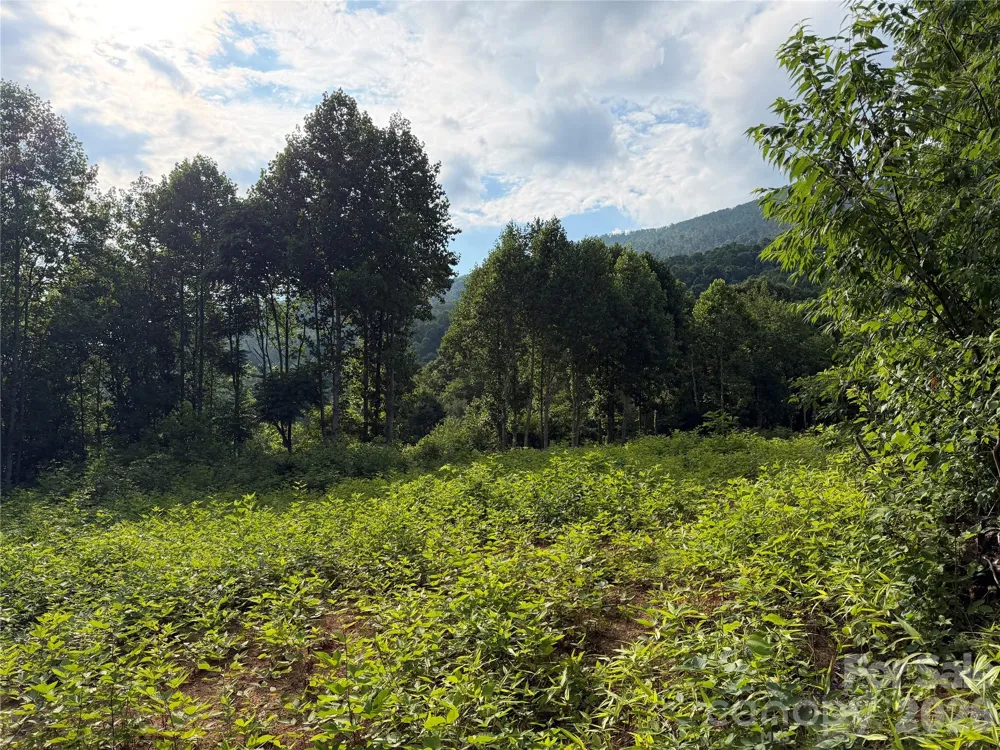 99999 Tipton Lane Bakersville, NC 28705