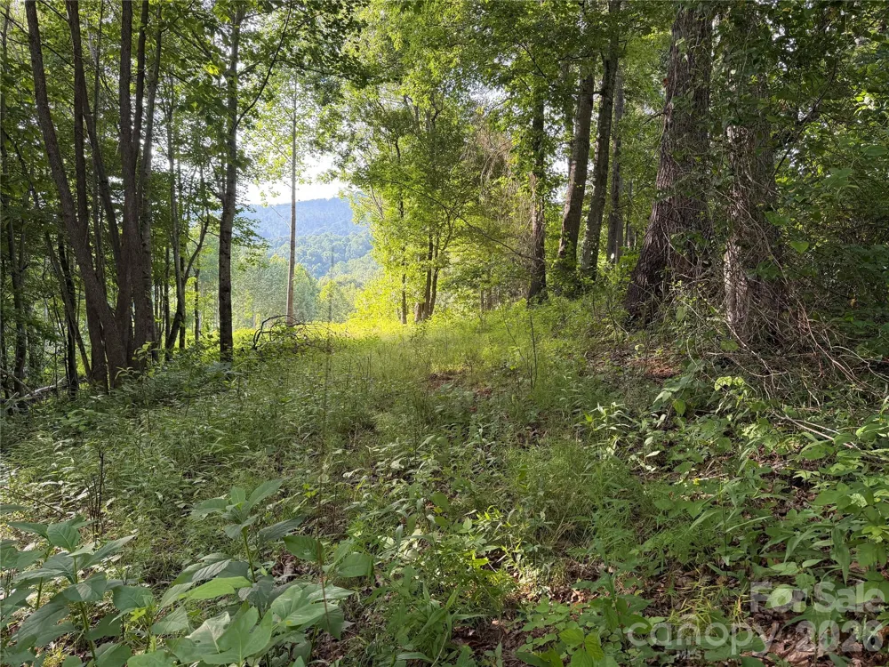99999 Tipton Lane Bakersville, NC 28705