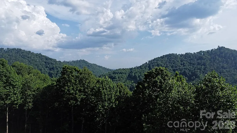 99999 Tipton Lane Bakersville, NC 28705