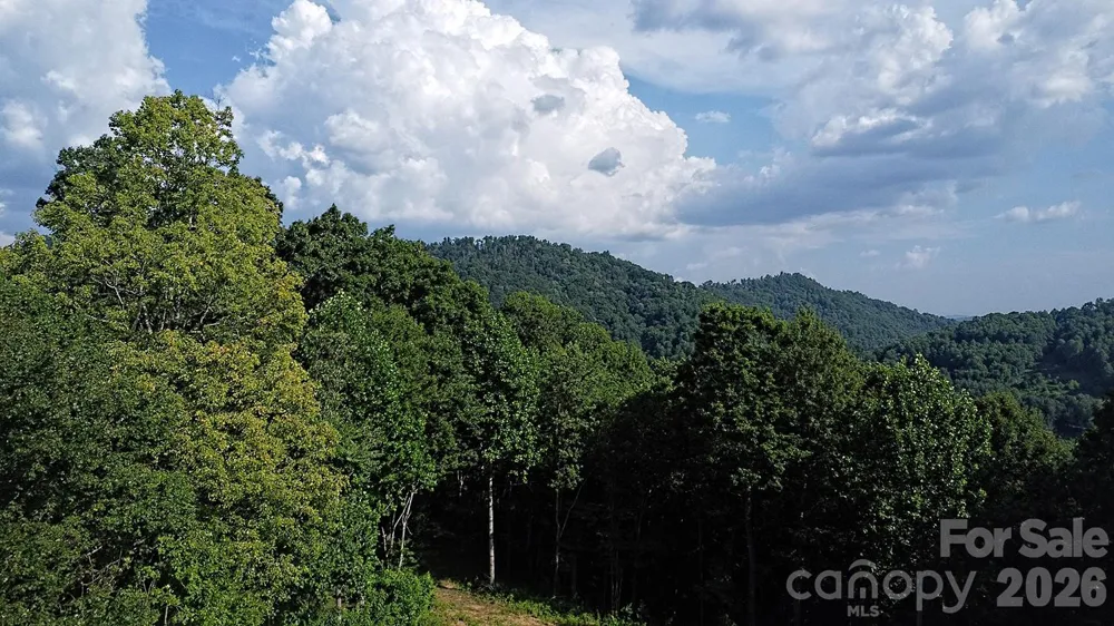 99999 Tipton Lane Bakersville, NC 28705