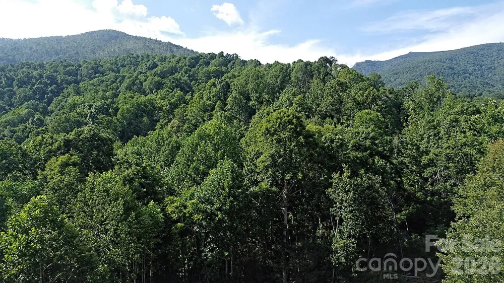 99999 Tipton Lane Bakersville, NC 28705