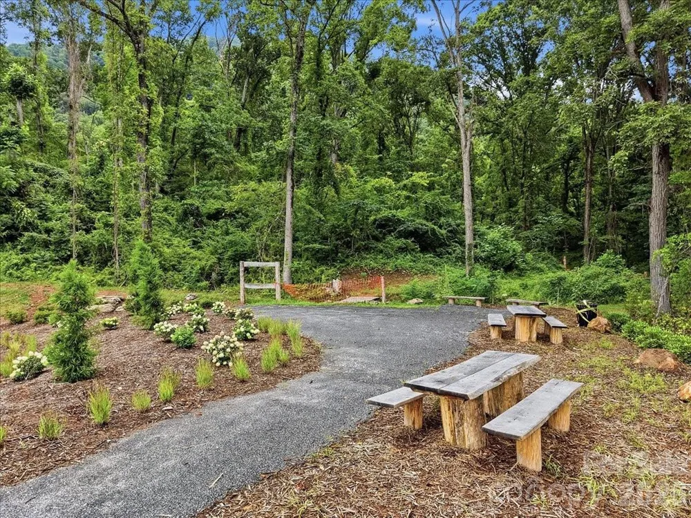 236 Smokey Holler Drive Asheville, NC 28803