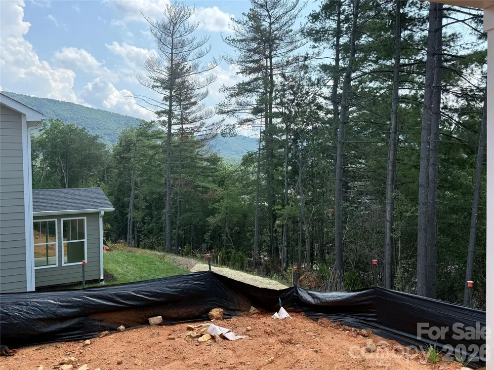 236 Smokey Holler Drive Asheville, NC 28803