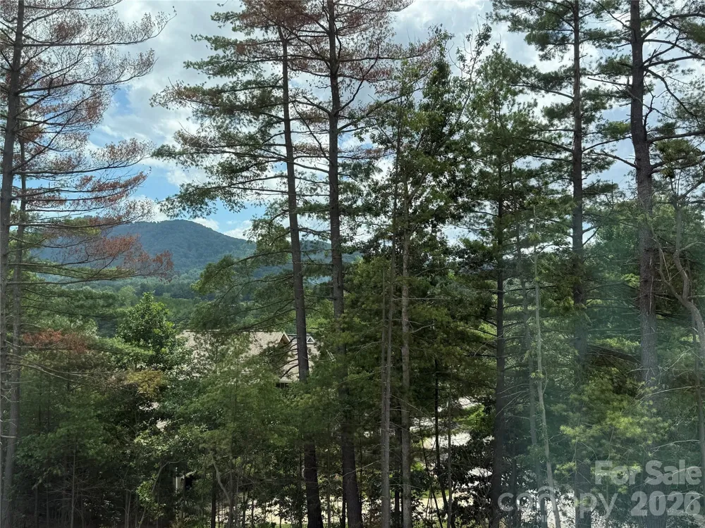 234 Smokey Holler Drive Asheville, NC 28803