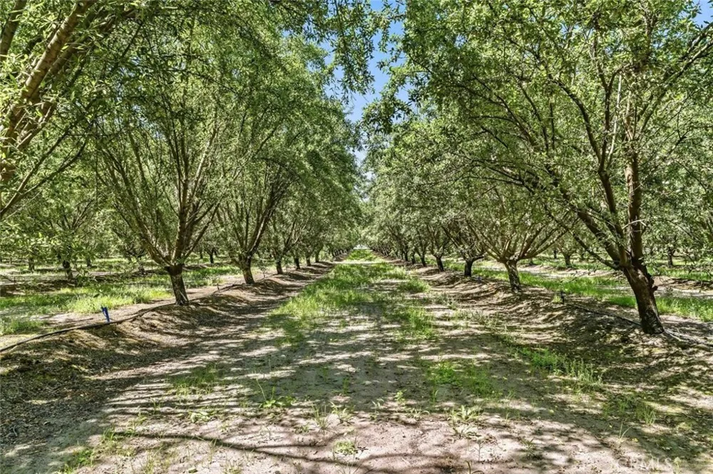 14361 Lombardy Delhi, CA 95315