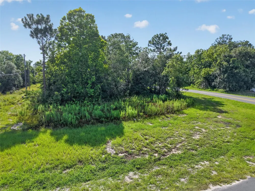 0000 SW 155TH STREET ROAD ocala, FL 34473