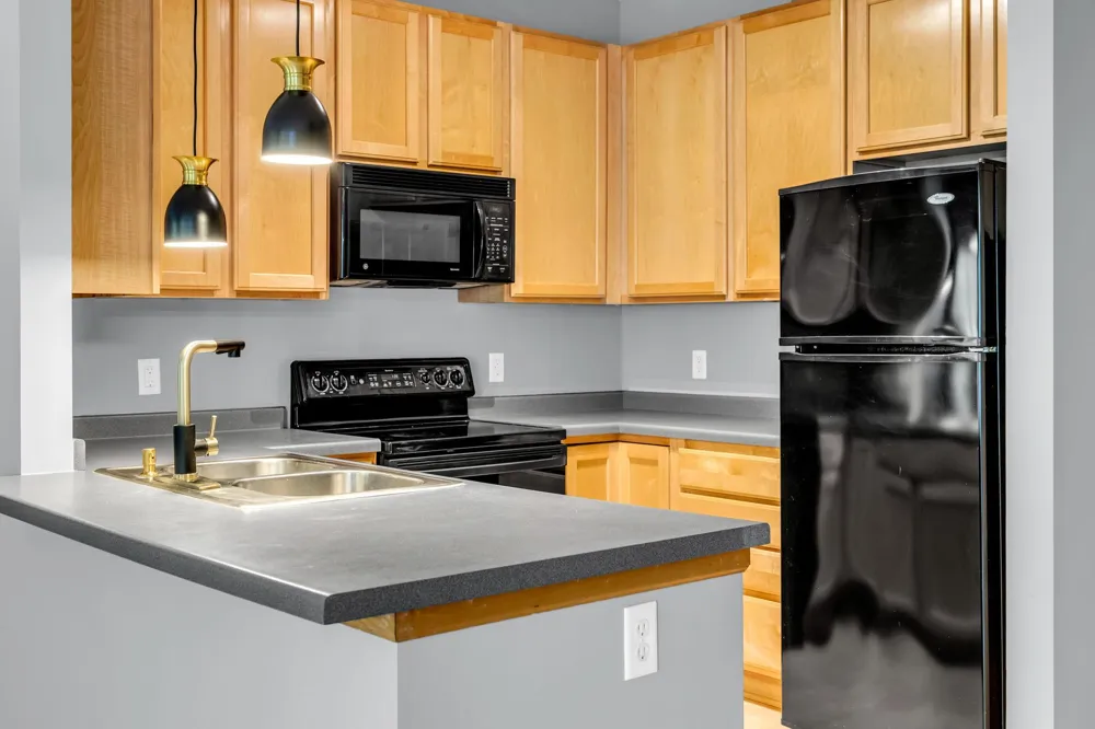 6766 Meadow Grass Lane S Cottage Grove, MN 55016