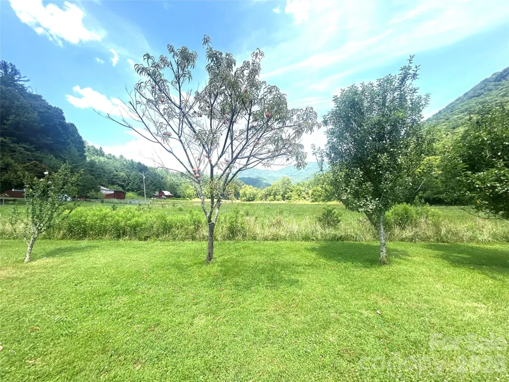10755 NC 209 Highway Hot Springs, NC 28743