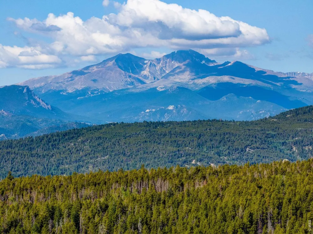5431 Storm Mountain Drive Drake, CO 80515