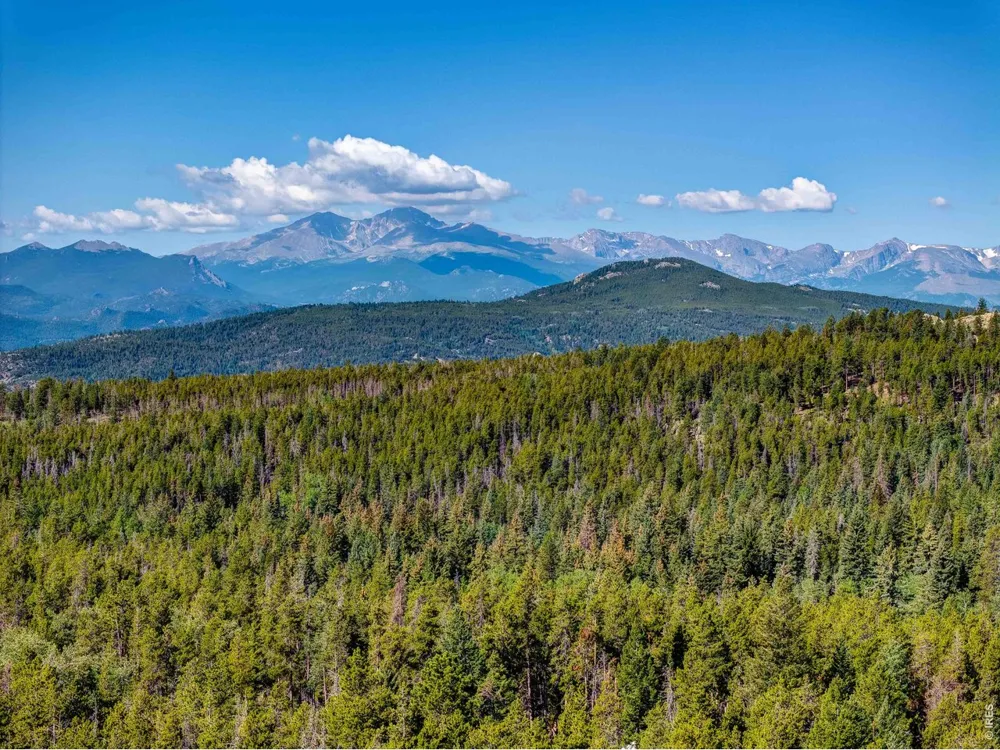 5431 Storm Mountain Drive Drake, CO 80515