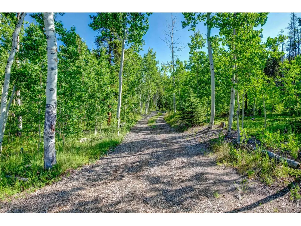 5431 Storm Mountain Drive Drake, CO 80515