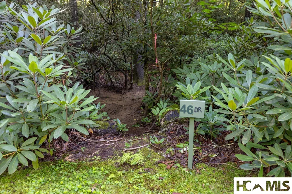 46DR Winding Creek Road Sapphire, NC 28774