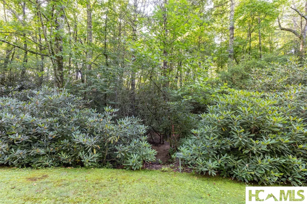 46DR Winding Creek Road Sapphire, NC 28774
