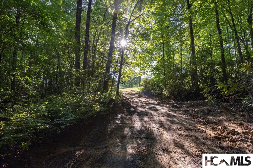 46DR Winding Creek Road Sapphire, NC 28774