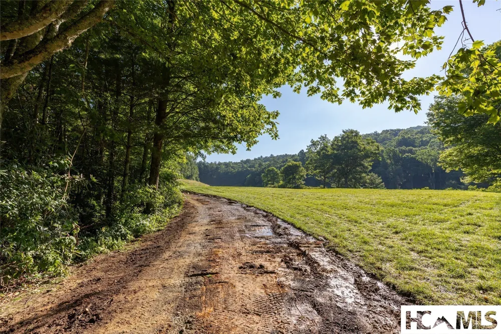 46DR Winding Creek Road Sapphire, NC 28774