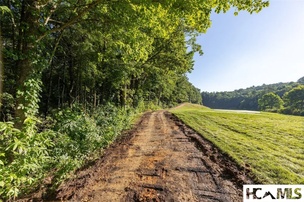 46DR Winding Creek Road Sapphire, NC 28774
