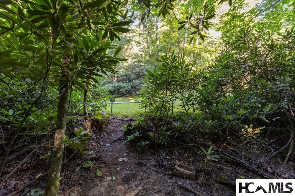 46DR Winding Creek Road Sapphire, NC 28774