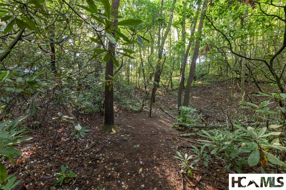 46DR Winding Creek Road Sapphire, NC 28774