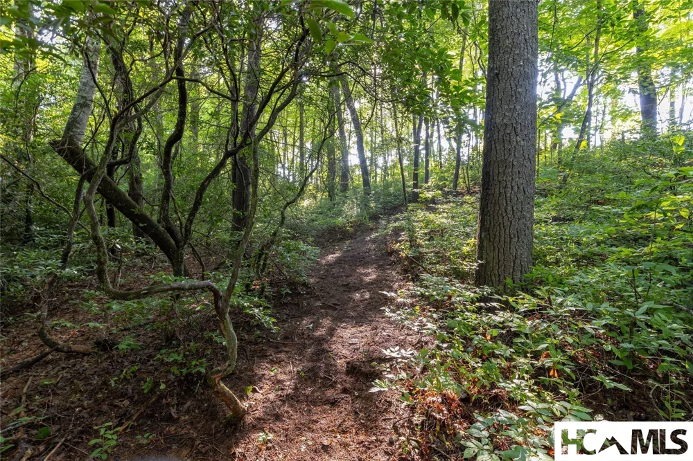 46DR Winding Creek Road Sapphire, NC 28774