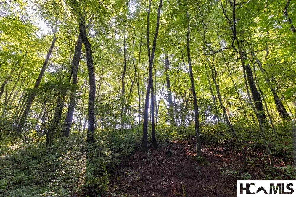 46DR Winding Creek Road Sapphire, NC 28774
