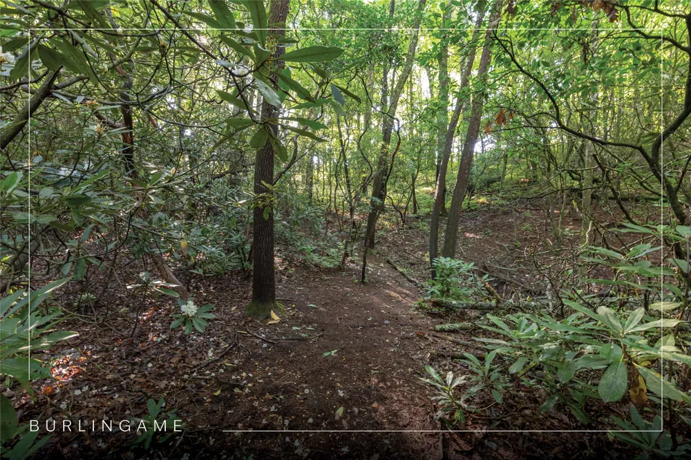 46DR Winding Creek Road Sapphire, NC 28774