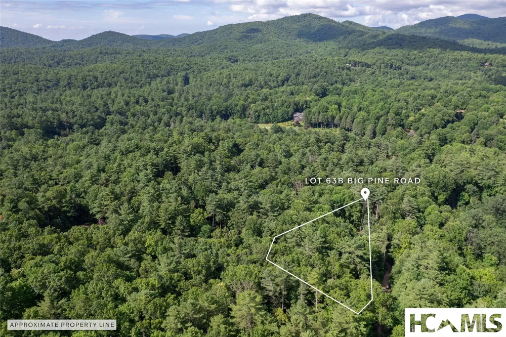 63B Big Pine Road Sapphire, NC 28774