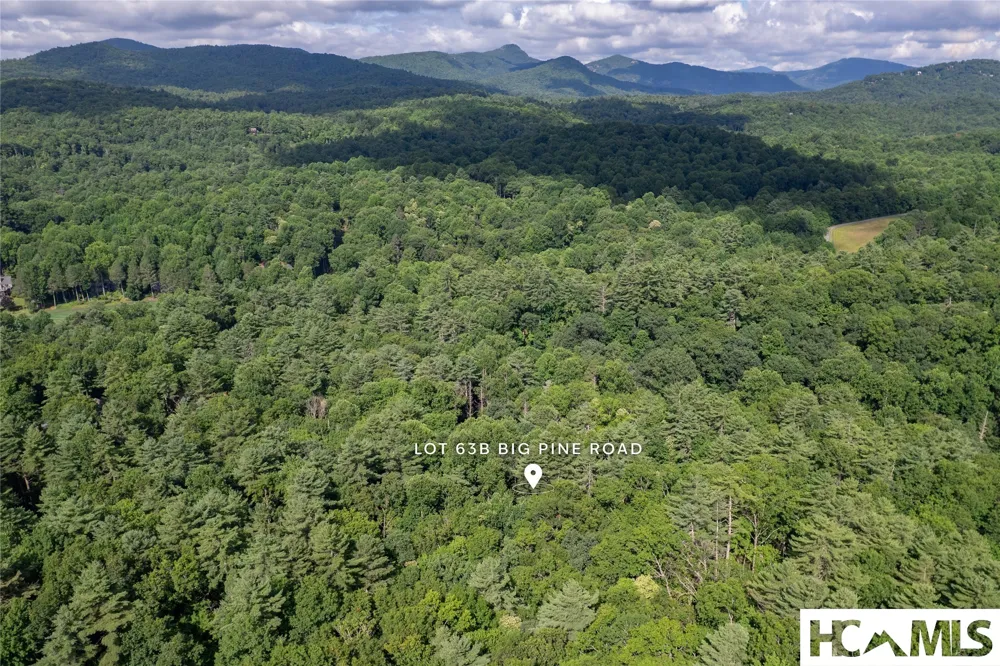 63B Big Pine Road Sapphire, NC 28774