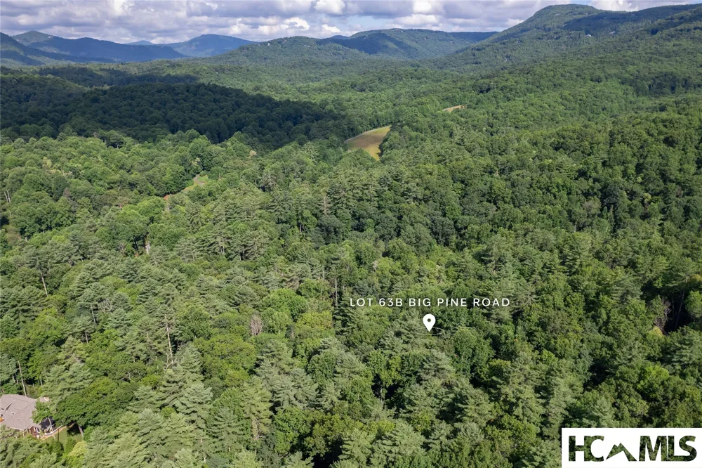 63B Big Pine Road Sapphire, NC 28774