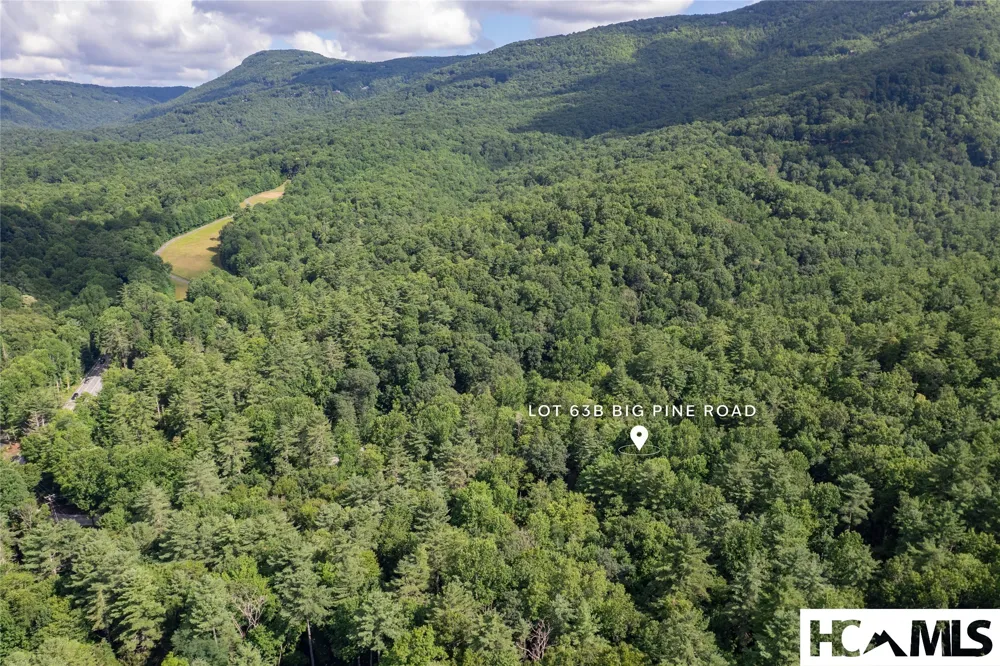63B Big Pine Road Sapphire, NC 28774