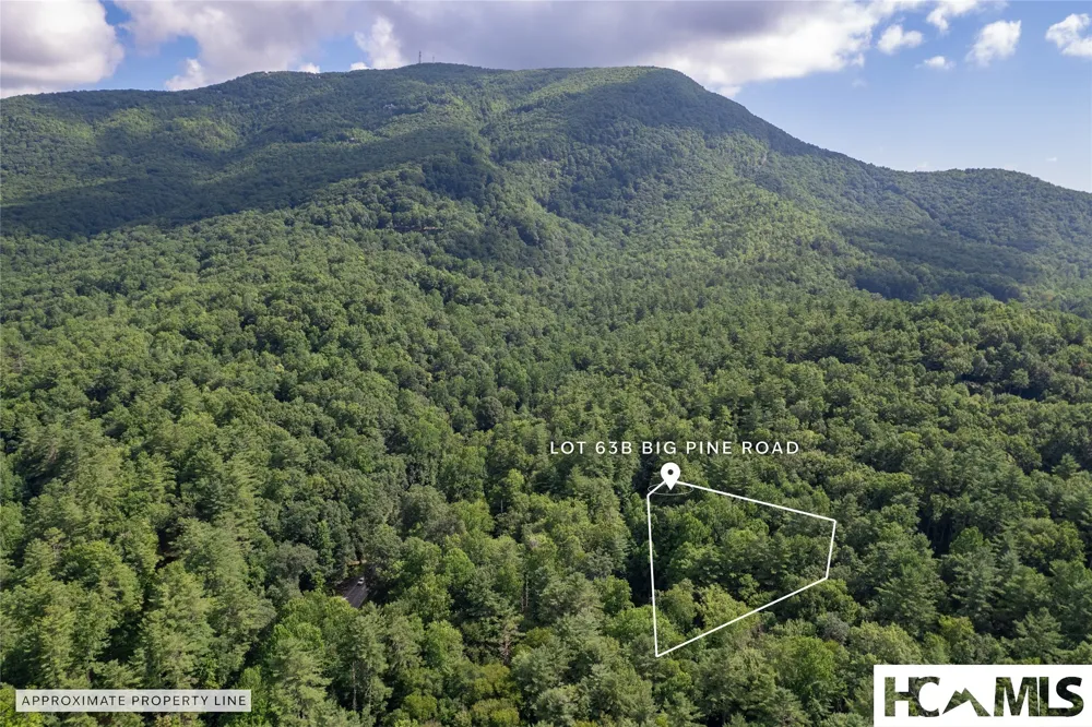 63B Big Pine Road Sapphire, NC 28774