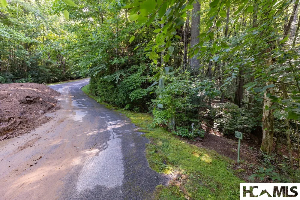 63B Big Pine Road Sapphire, NC 28774