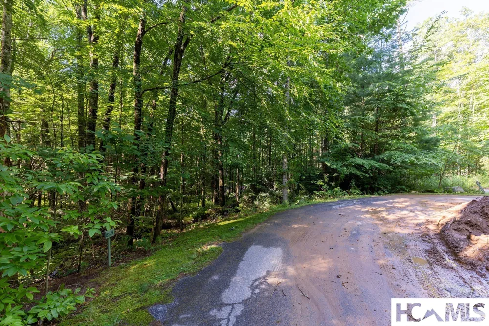 63B Big Pine Road Sapphire, NC 28774