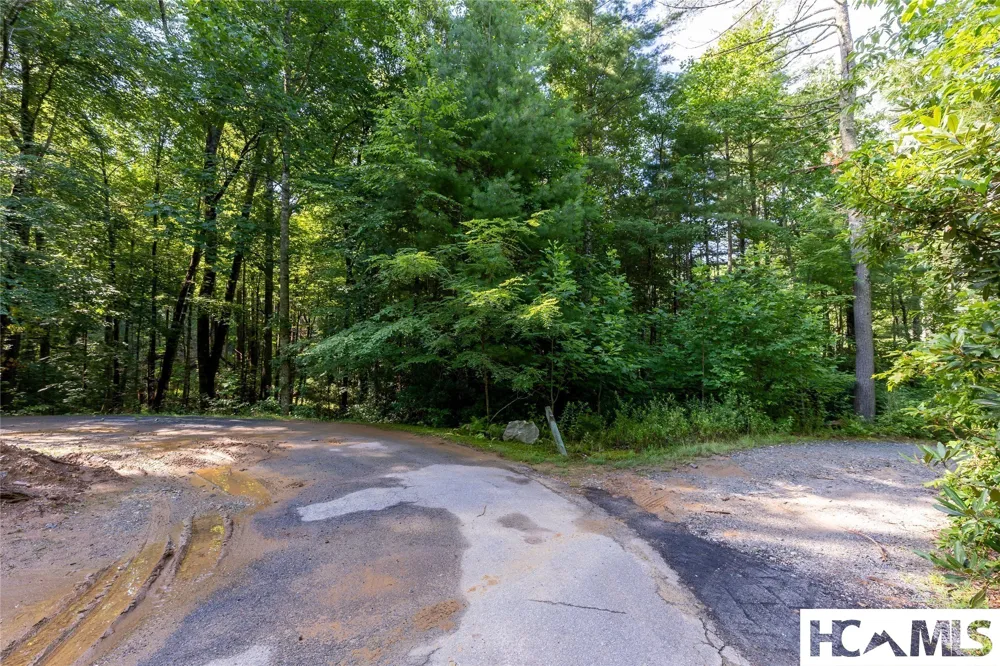 63B Big Pine Road Sapphire, NC 28774