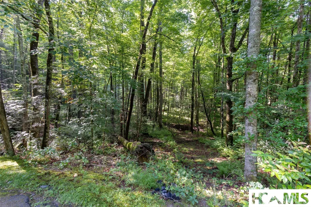 63B Big Pine Road Sapphire, NC 28774